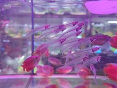 -三旗百汇商品城