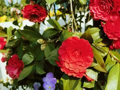 -苏州河梦清园环保主题公园