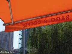 -Catch Bagel(芳草地店)