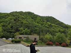 -牛背梁国家森林公园
