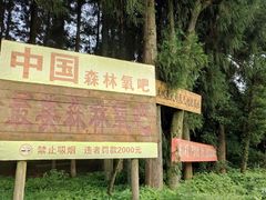 -武陵山森林公园