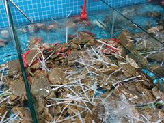 -都斛海鲜街