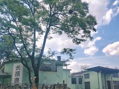 -昆明动物园