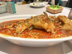 -雀蓝川菜(奥体广场店)