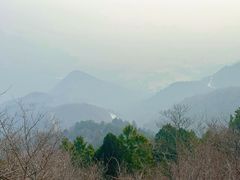 -北京鹫峰国家森林公园
