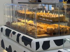 -红星前进面包牛奶公司(君太店)