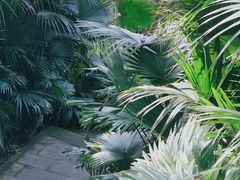 -重庆彩云湖湿地公园