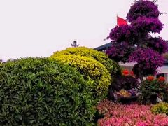 -广州市白云山风景名胜区