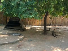 -深圳野生动物园