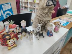 -美联众合动物医院·24h转诊中心