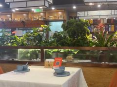 -洞庭家宴·头牌甲鱼(广渠门店)