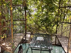 -喵屿·大理花园猫咖