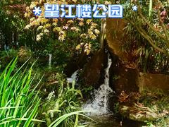 -望江楼公园