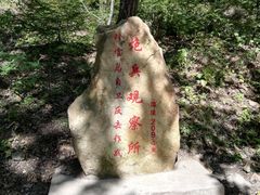 -珍宝岛