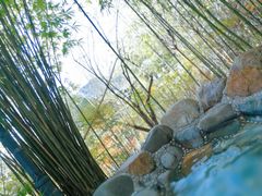 -咸宁万豪温泉谷度假区