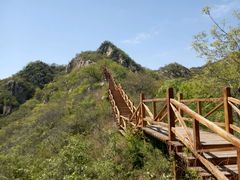 景点-大岭沟猕猴桃谷风景区