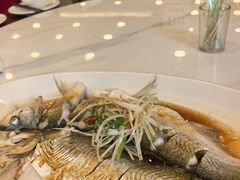 清蒸白水鱼-状元楼(金溪路店)