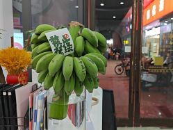-玛尼瑜伽·普拉提