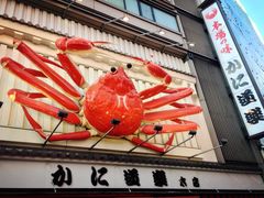 -蟹道乐(道顿堀本店)