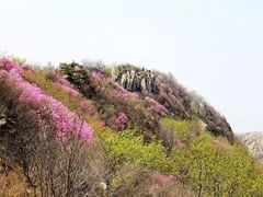 -竹西公园