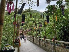 -西双版纳原始森林公园
