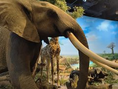 -陕西自然博物馆