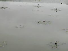 -沙美村