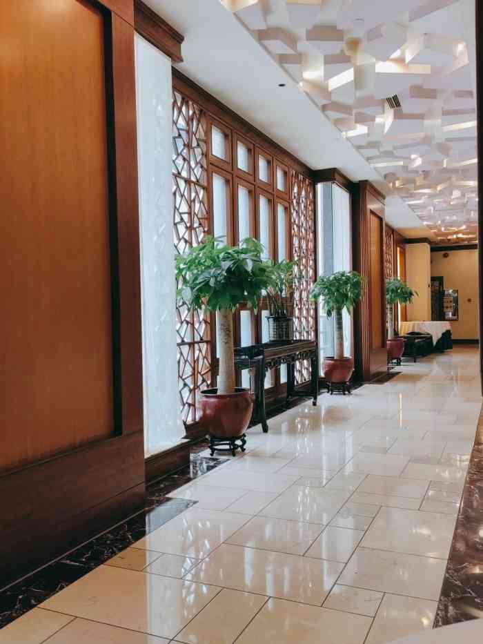 潮皇食府61专注潮汕菜24年(国贸总店)-"上菜慢.