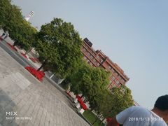 -吴淞炮台湾湿地森林公园烧烤区