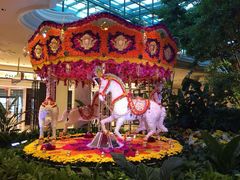 -拉斯维加斯永利酒店