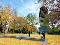-玲珑塔公园