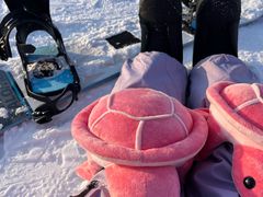 -东北亚滑雪场
