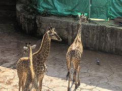 -长鹿旅游休博园