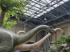 -国家自然博物馆