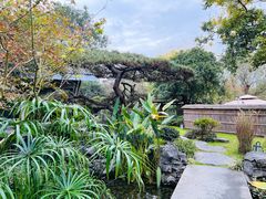 -新荣记(西溪湿地店)