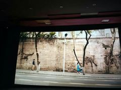 -万达影城(汉街万达广场IMAX店)