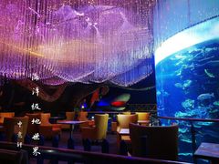 -泉城欧乐堡海洋极地世界