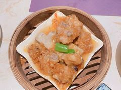 -点都德·毕德寮