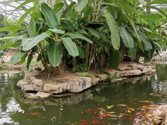 -南通洲际绿博园