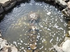 -汉拿山温泉度假酒店