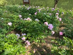 -幕燕滨江·长江观音景区