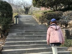 -石老人观光园
