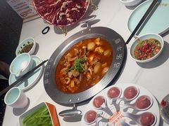 -古乐牛香•鲜牛肉牛杂火锅(系马桩总店)