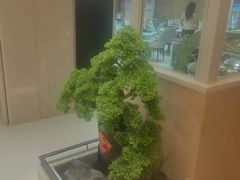 -新美姿美食水疗汇(罗湖口岸店)