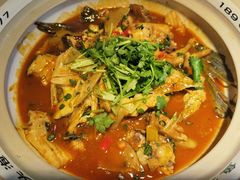 千岛湖有机胖头鱼-魏铭鱼头捞饭(晋阳路店)