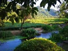 -中国茶叶博物馆(双峰馆区)