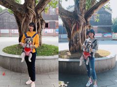 -悦城龙母祖庙