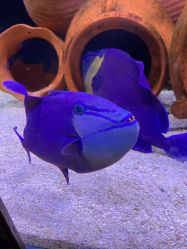 -Zoolung Zoolung动物主题公园(海信广场店)