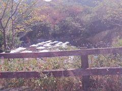 -浙北大峡谷