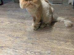 -小时光咖啡馆(开森度假森林店)